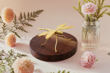 Dragonfly with Acacia wooden stand