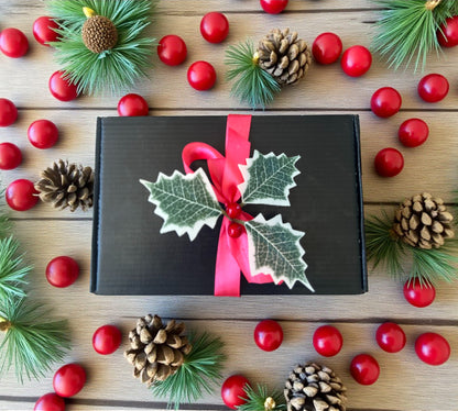 ✨ Christmas Glow Gift Box ✨